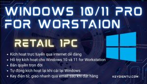 Bản quyền Windows 10, 11 Pro For Workstation (Bản Retail, kích hoạt trực tuyến)