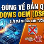 Hiểu Đúng Về Bản Quyền Windows OEM (DSP OEI): Giải Mã Những Lầm Tưởng Phổ Biến