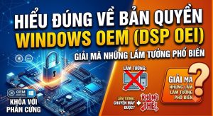 Hiểu Đúng Về Bản Quyền Windows OEM (DSP OEI): Giải Mã Những Lầm Tưởng Phổ Biến
